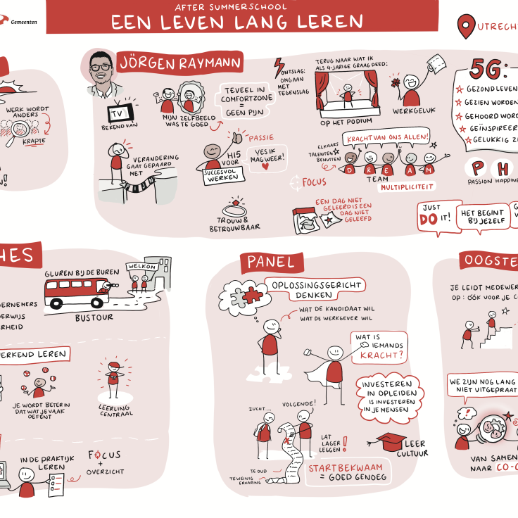 visueel_verslag_lwsp.png